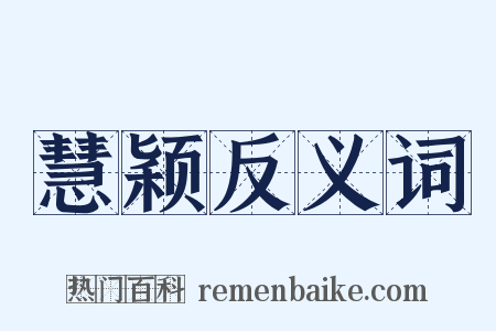 慧颖反义词是什么意思的图片